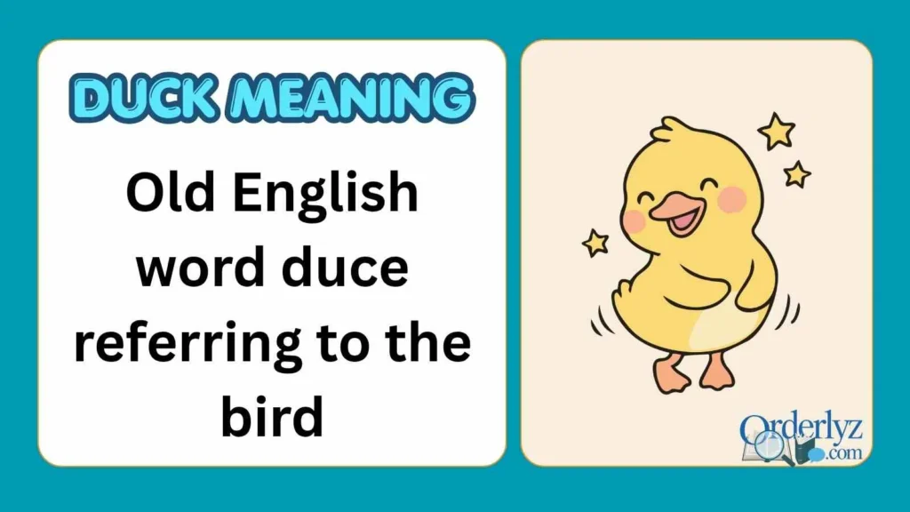 duck meaning