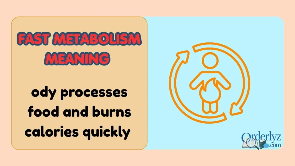 Fast Metabolism Meaning