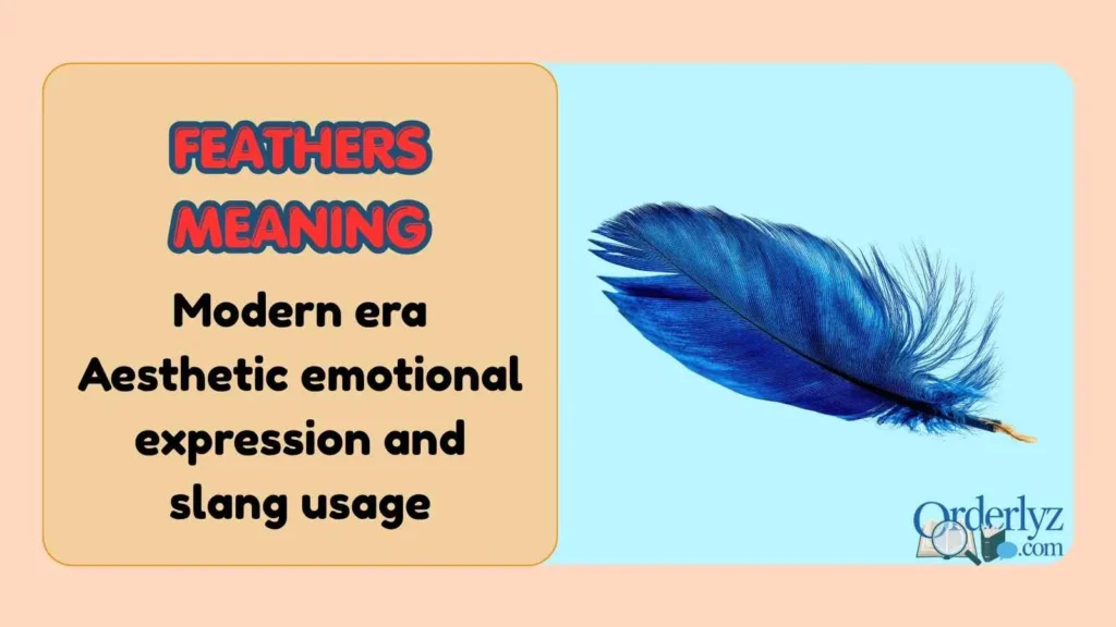 feathers meaning