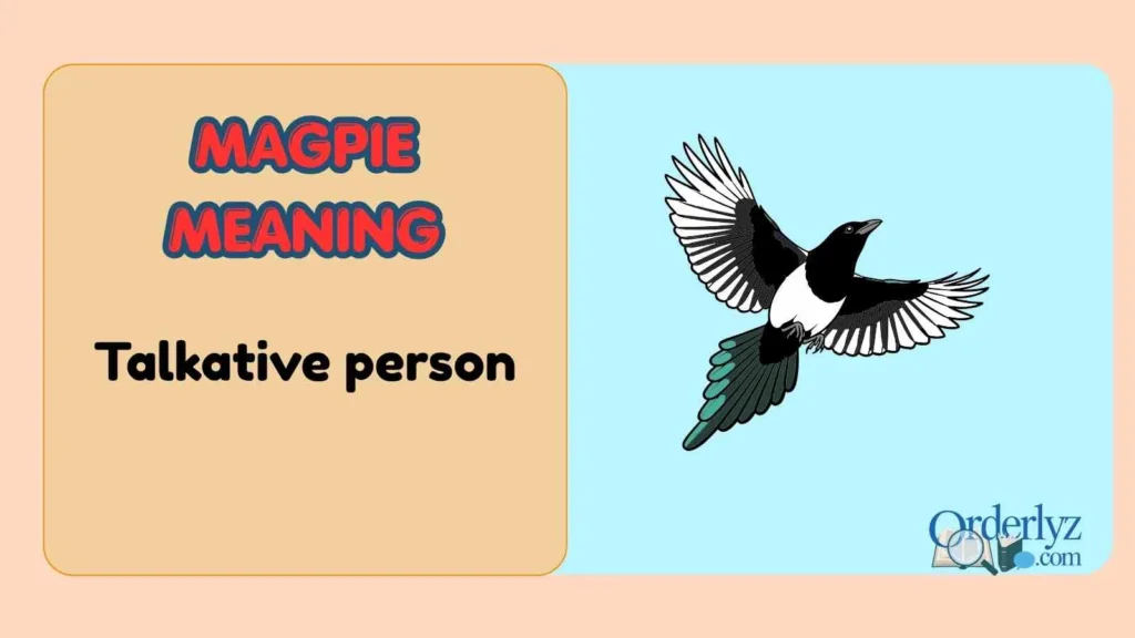 magpie meaning