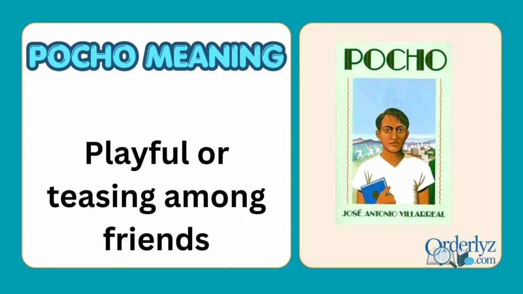 pocho meaning
