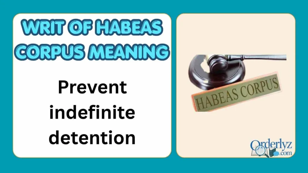 writ of habeas corpus meaning
