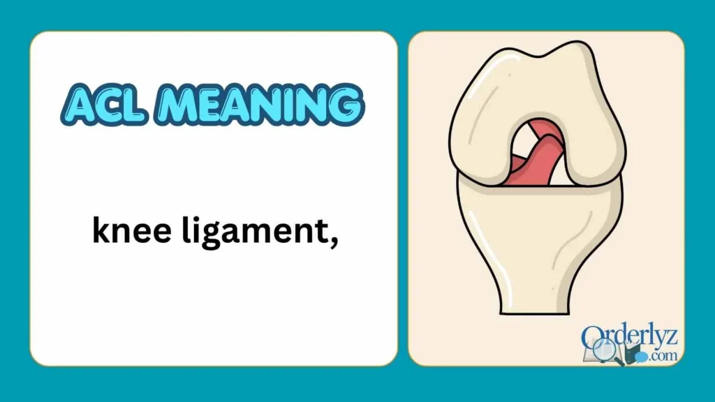 ACL Meaning