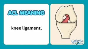 ACL Meaning