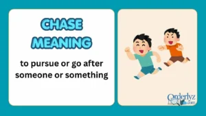 chase meaning