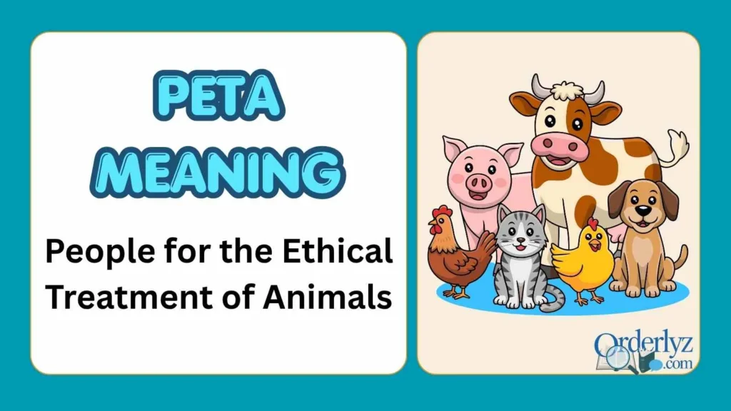 Peta Meaning