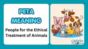 Peta Meaning