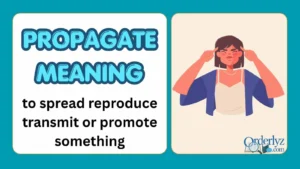 propagate meaning