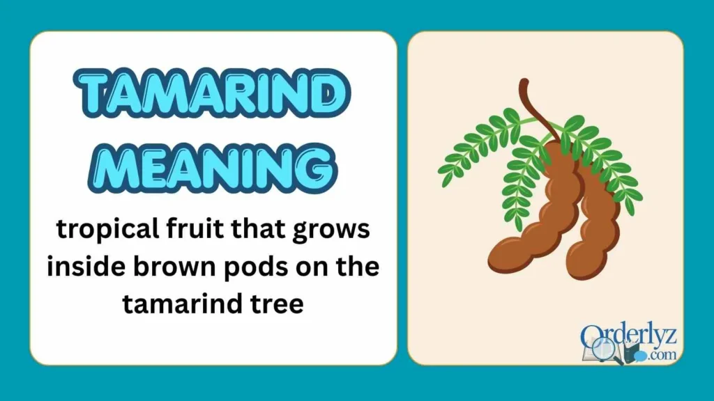 Tamarind Meaning
