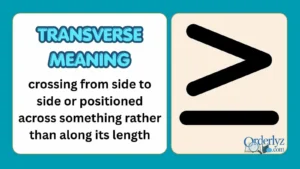 Transverse Meaning