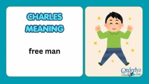 Charles Meaning