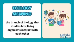 ecology meaning