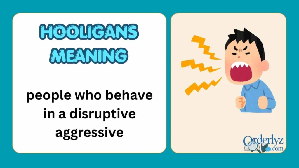 Hooligans Meaning
